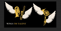 Fate la vostra donazione per la nostra mission" Wings to Talent"